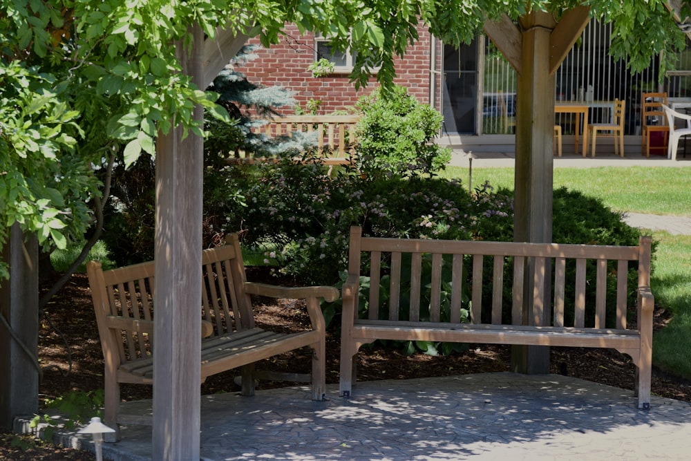 a couple of wooden benches sitting under a tree