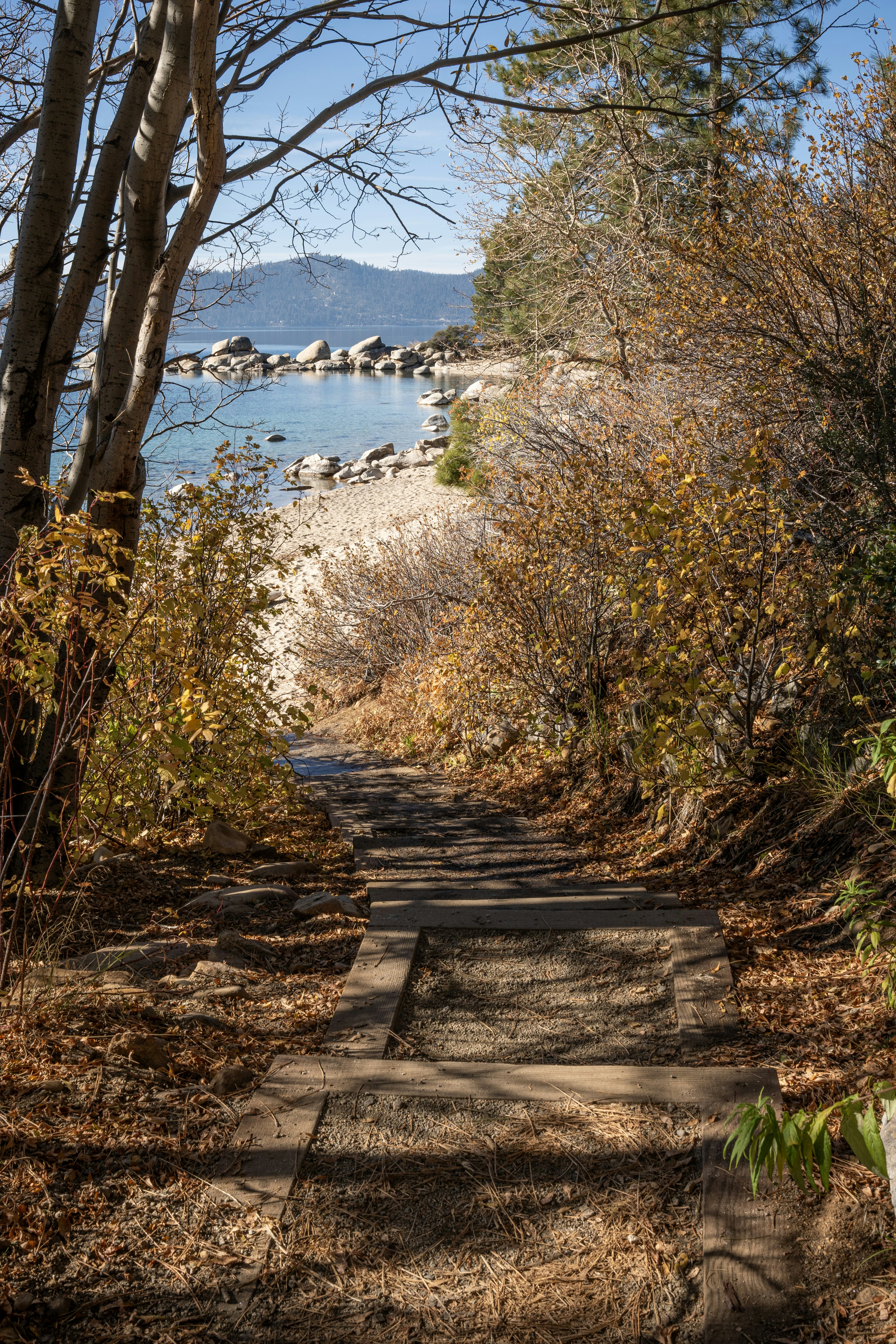 a path leading to a lake surrounded by trees