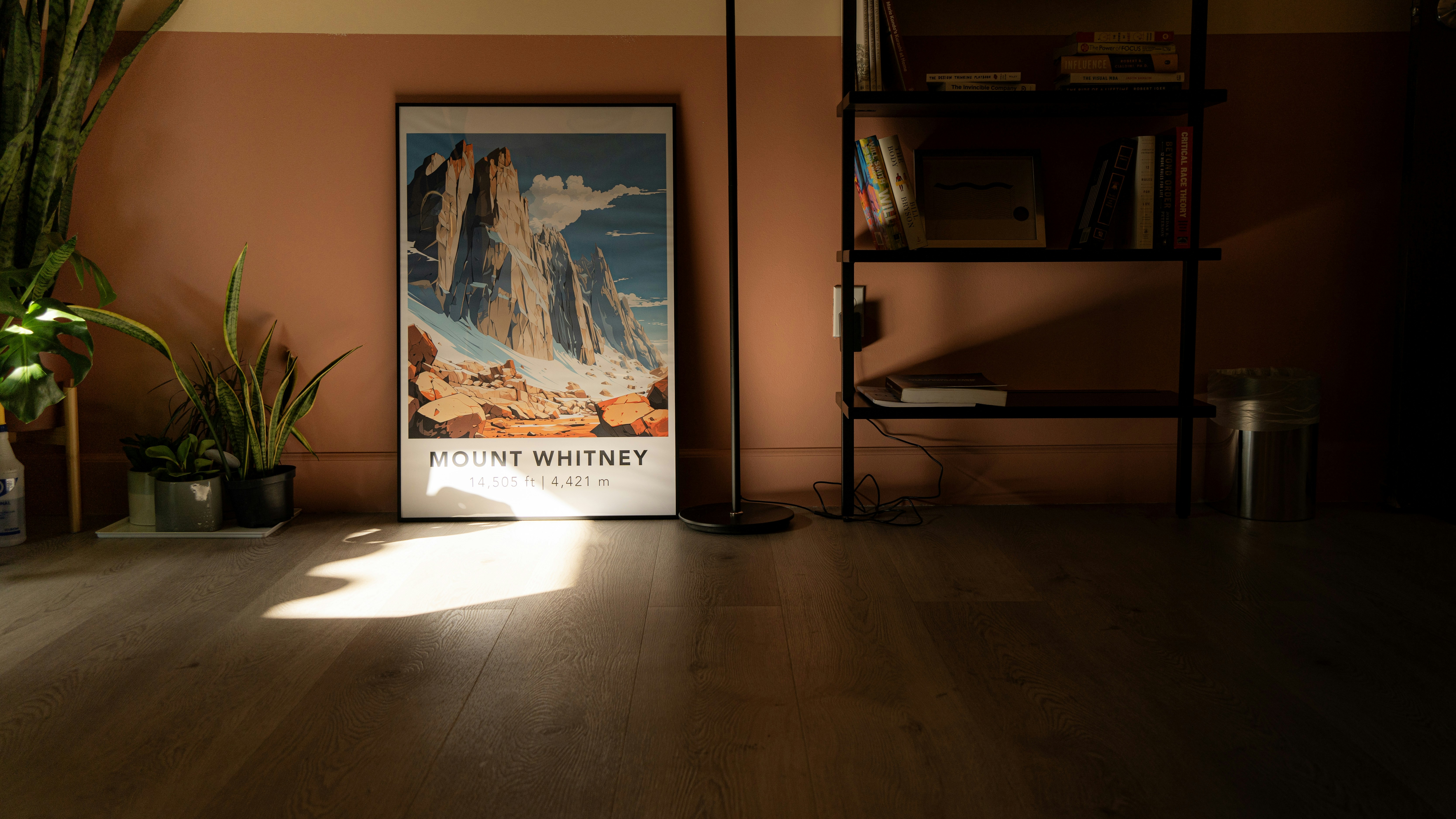 a room with a book shelf and a poster on the wall