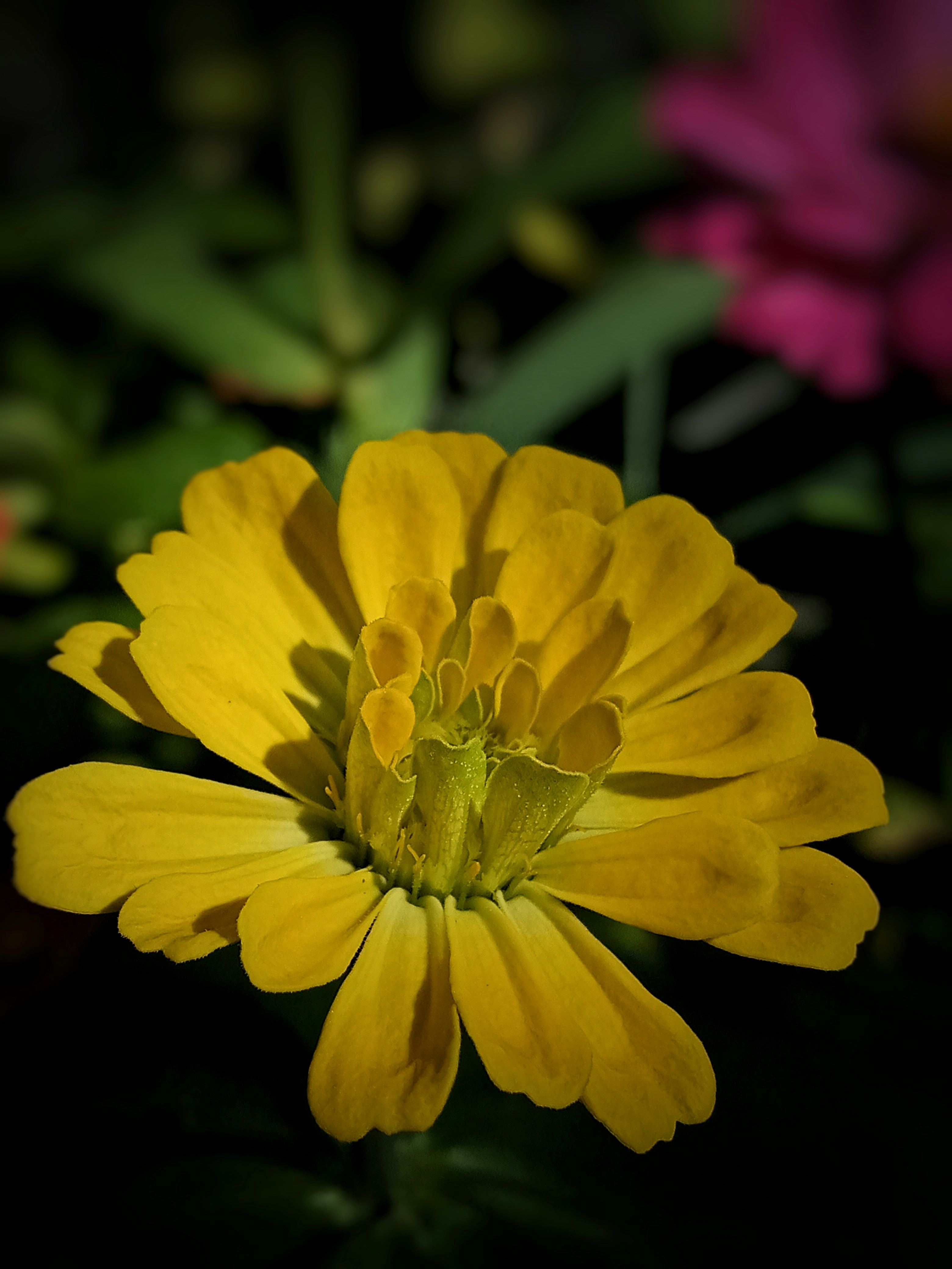 Photo by ahmadkharis