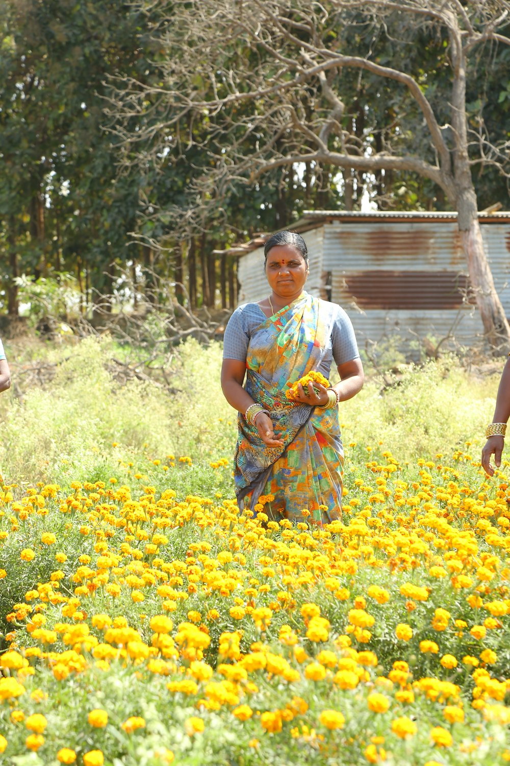 two women in a field of yellow flowers