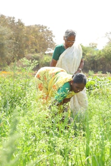 a couple of women standing in a lush green field