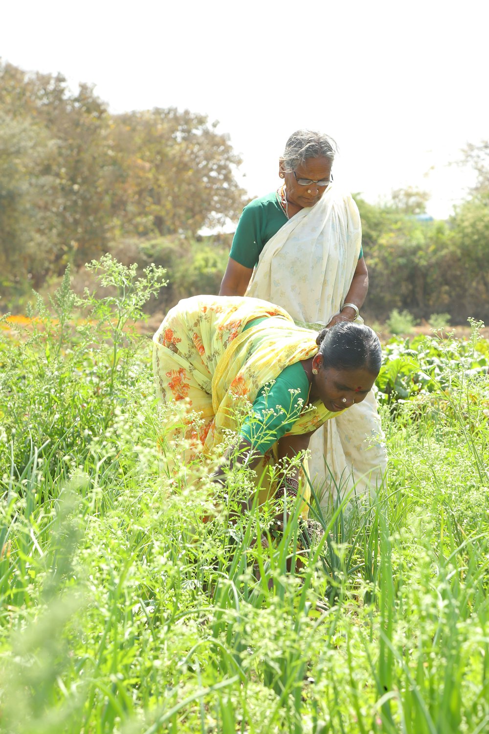 a couple of women standing in a lush green field