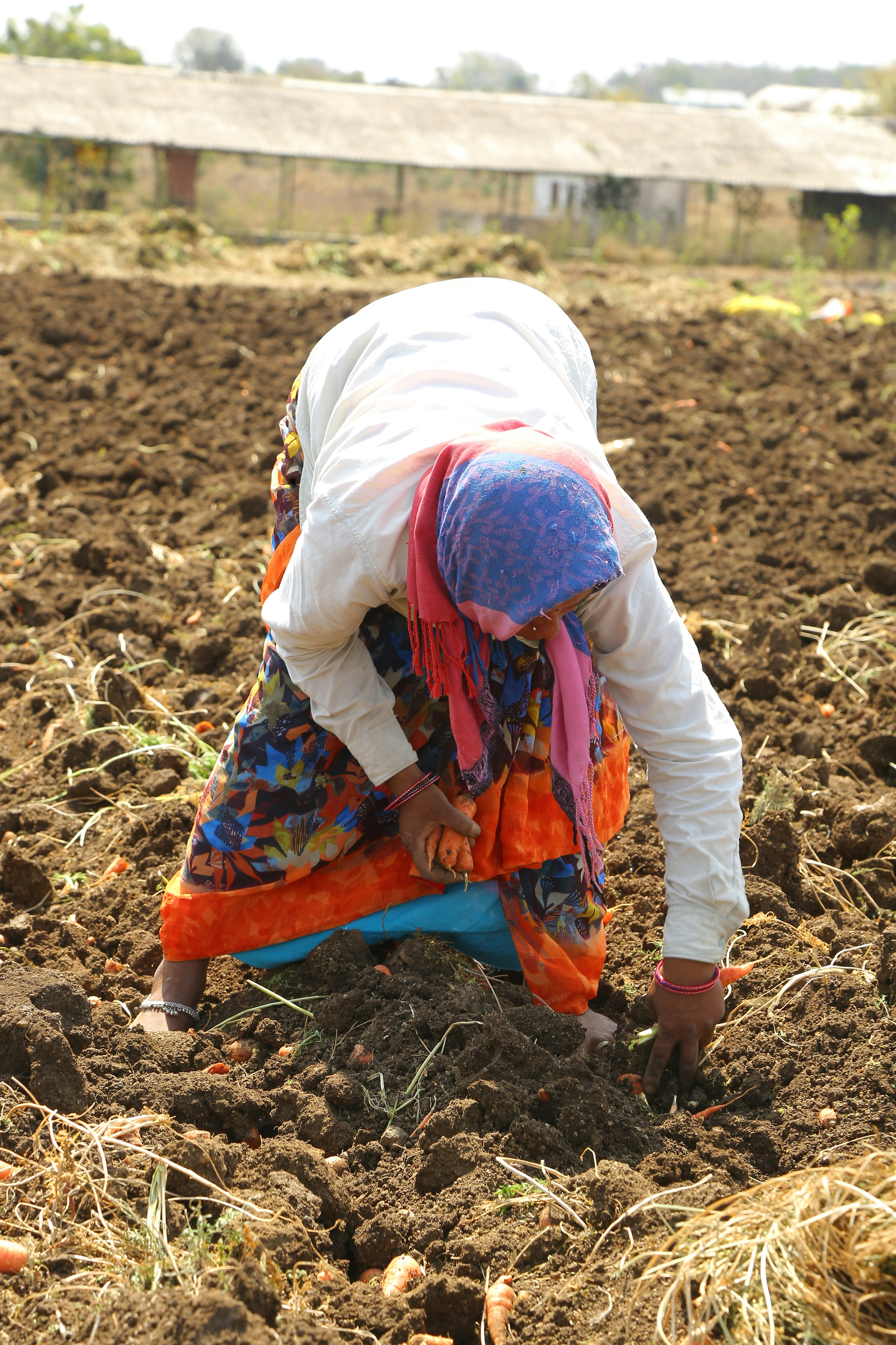 a woman kneeling down in the middle of a field