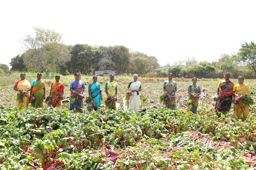 a group of people standing in a field