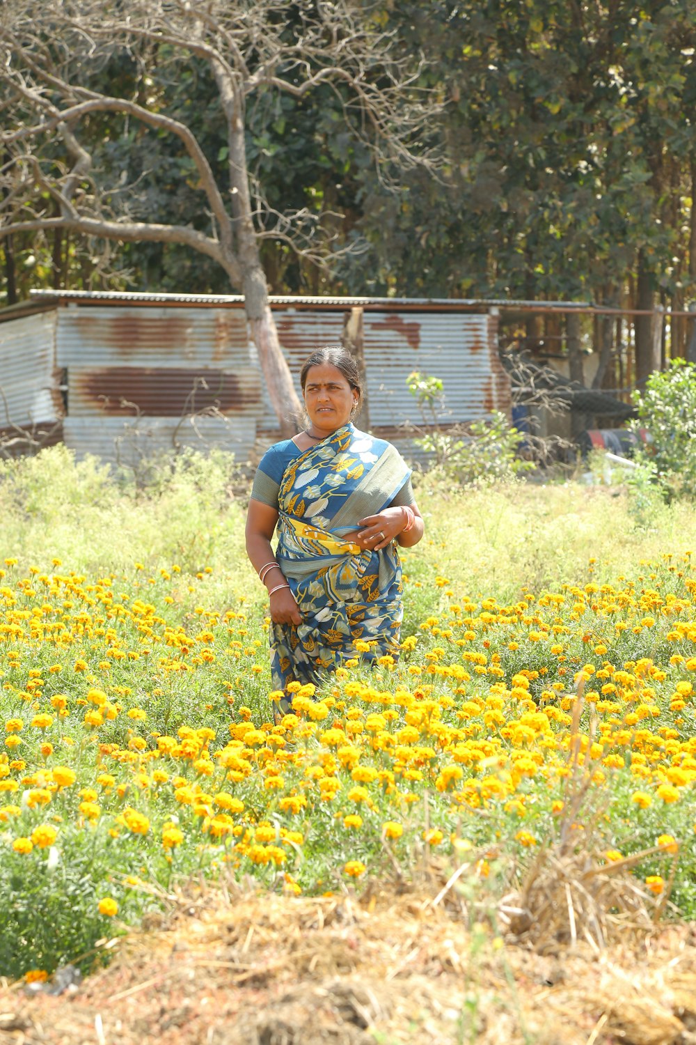 uma mulher em pé em um campo de flores amarelas