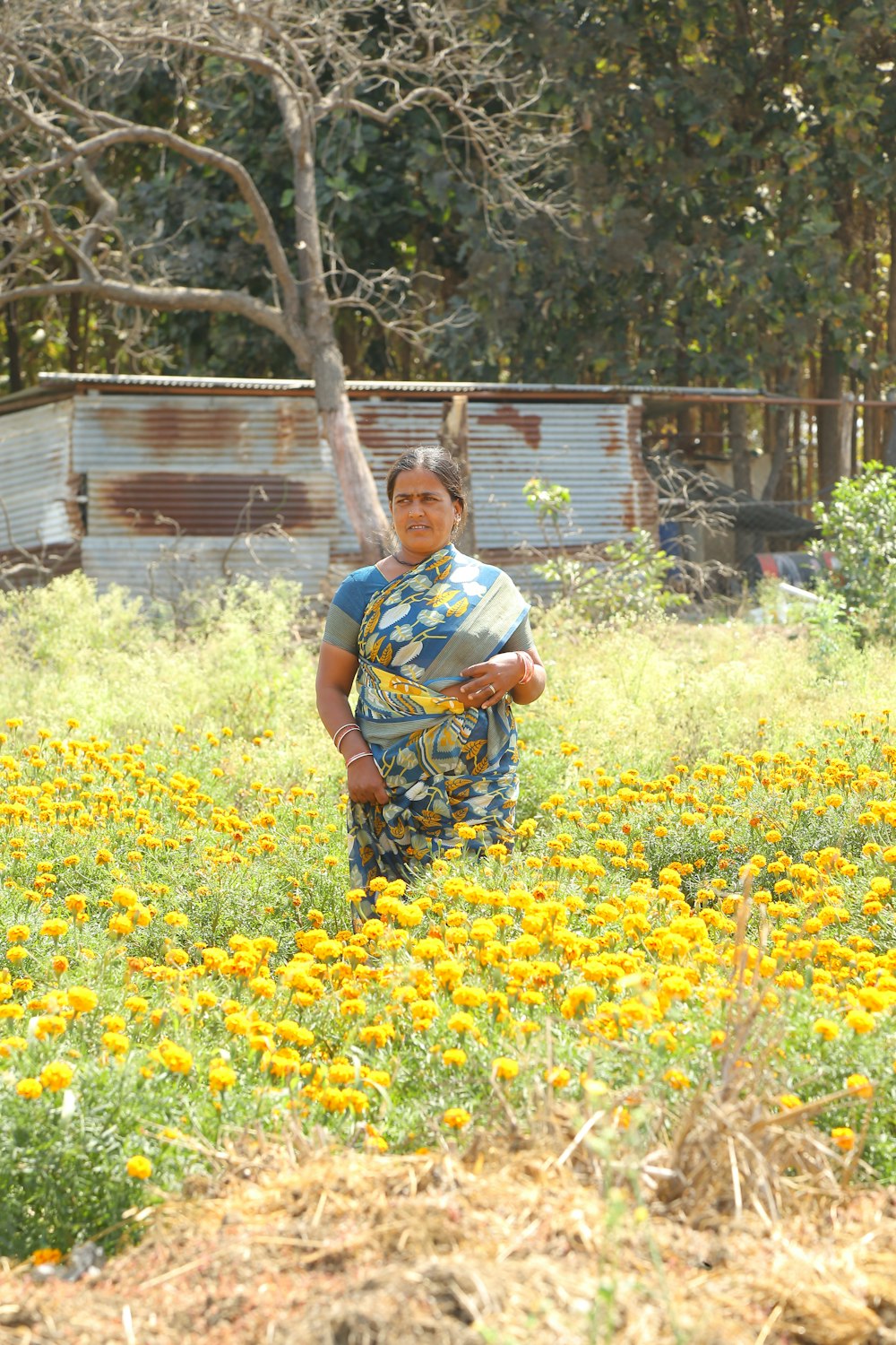 a woman standing in a field of yellow flowers