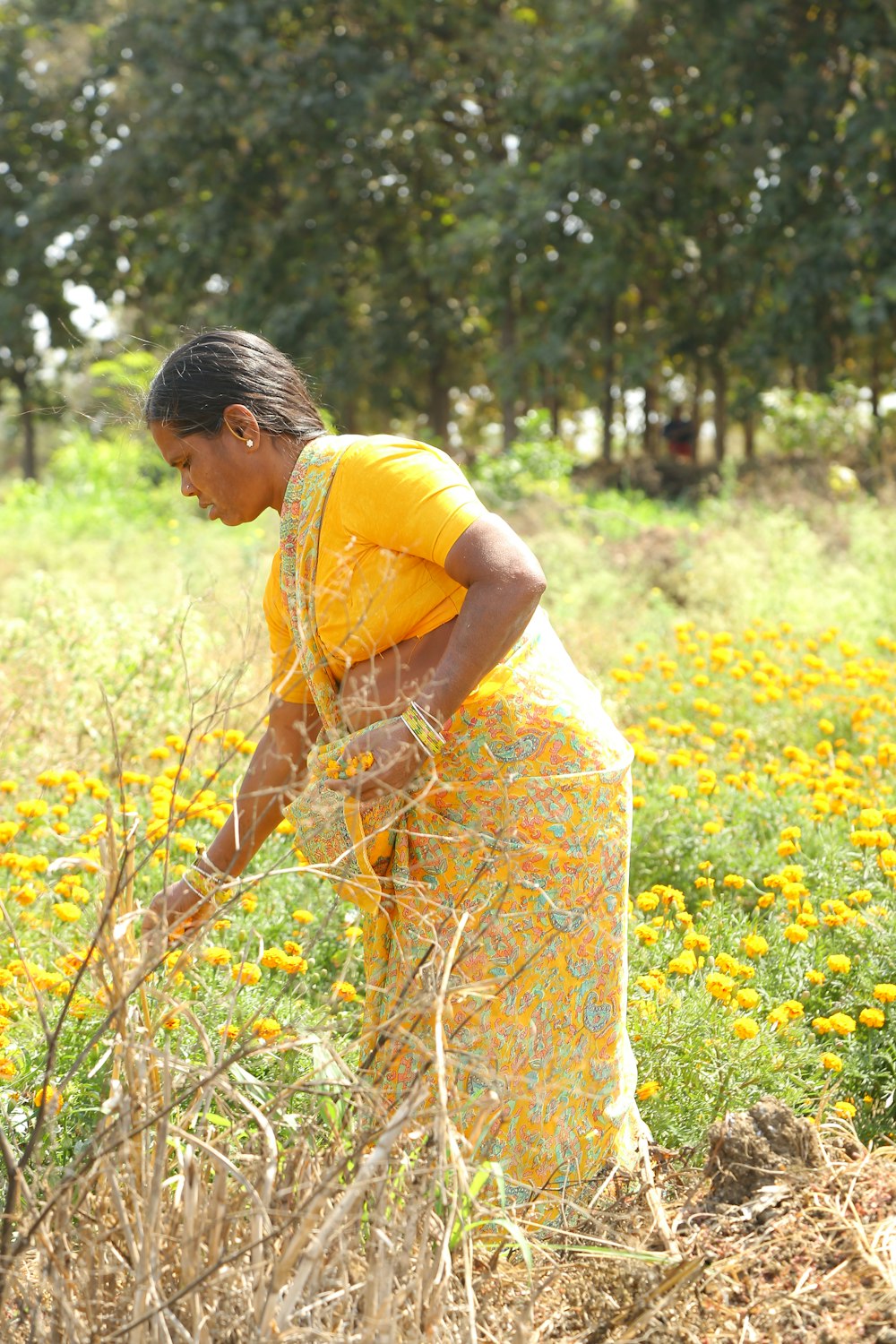 a woman standing in a field of yellow flowers