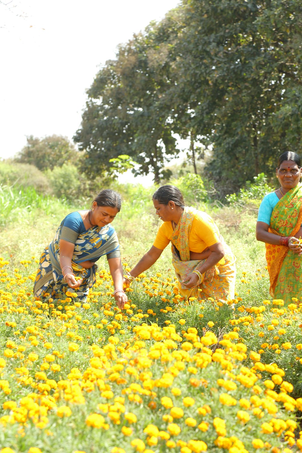 a group of people in a field of flowers