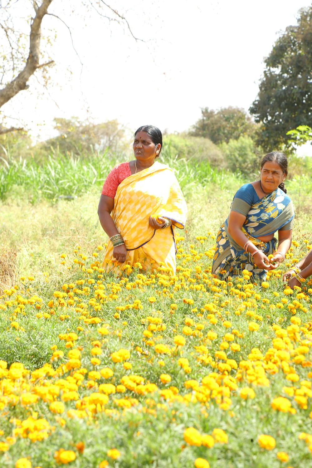 three women in a field of yellow flowers