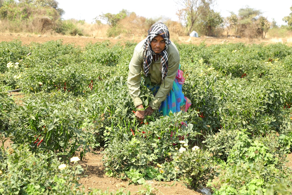 a woman kneeling down in a field of plants