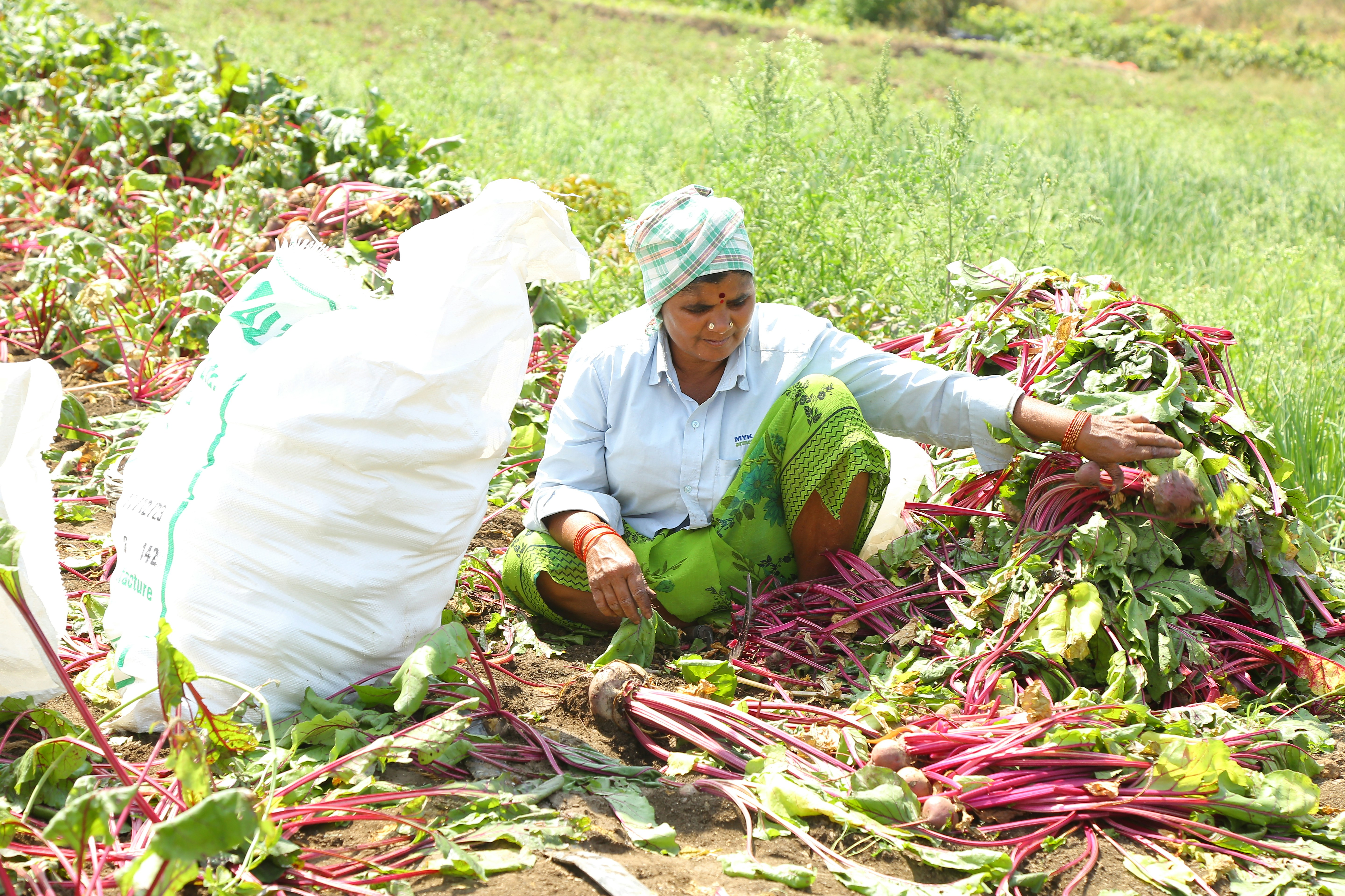 a woman kneeling down in a field of vegetables