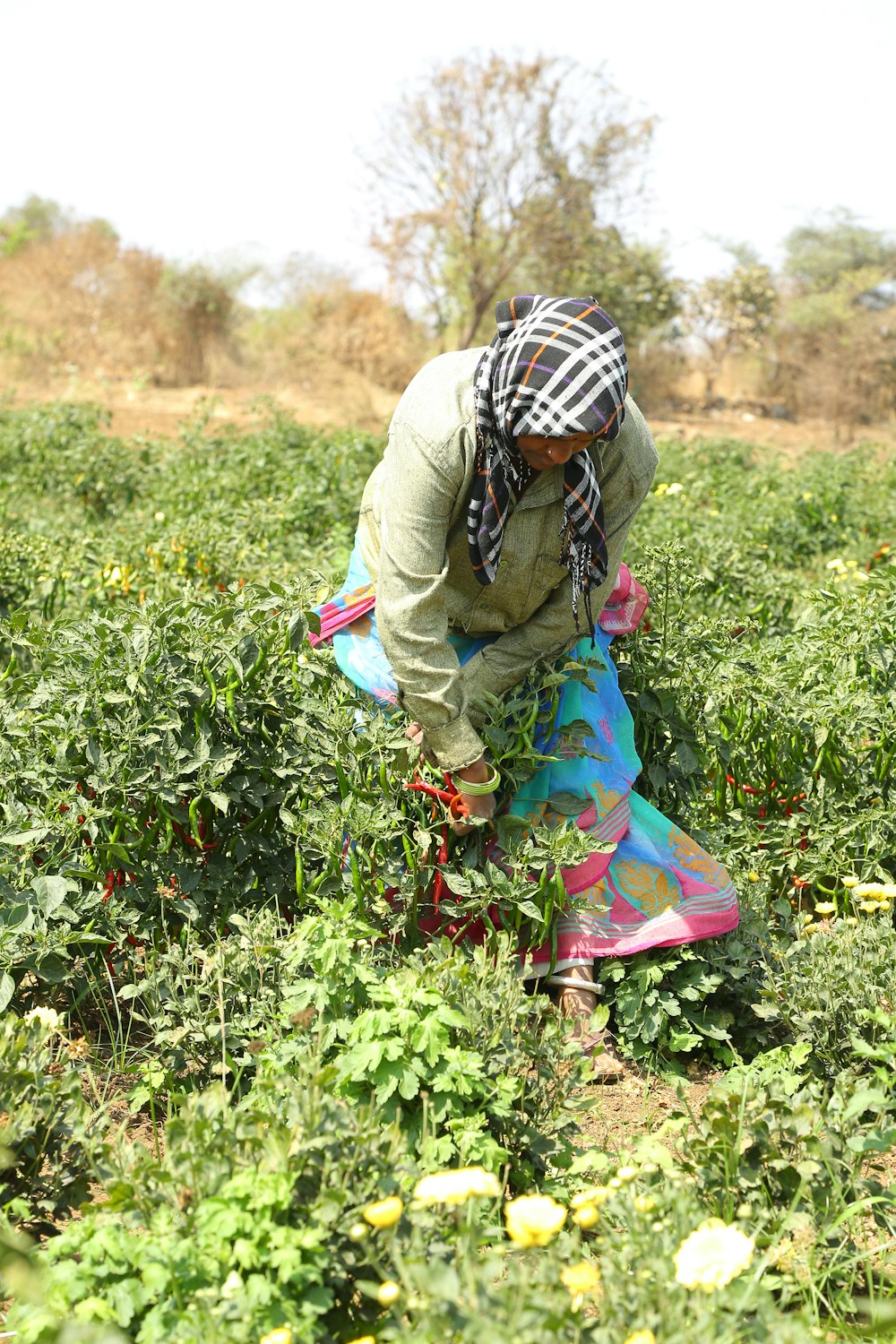 a woman kneeling down in a field picking flowers