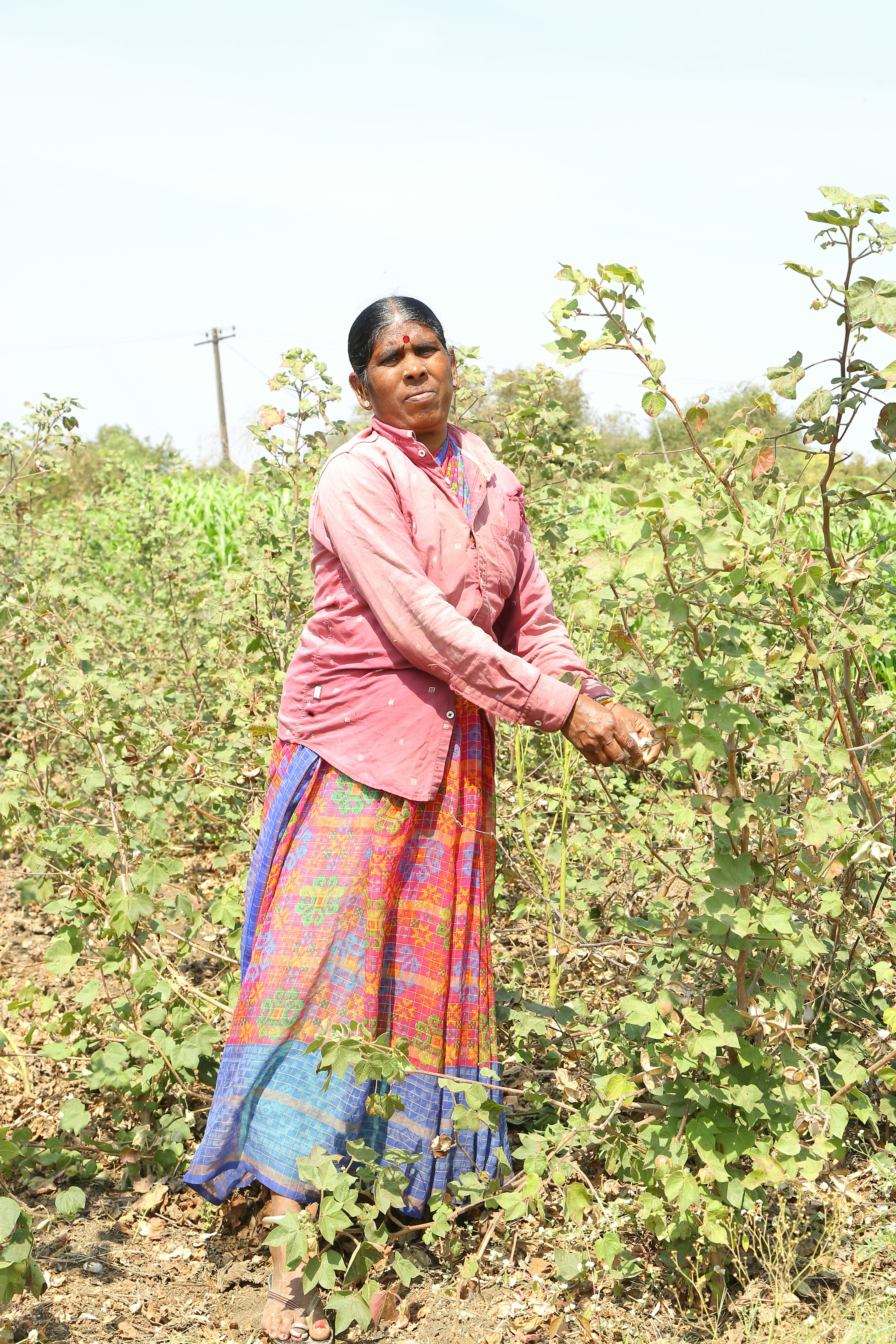 A group of women working together in a tree nursery, representing community-led afforestation.