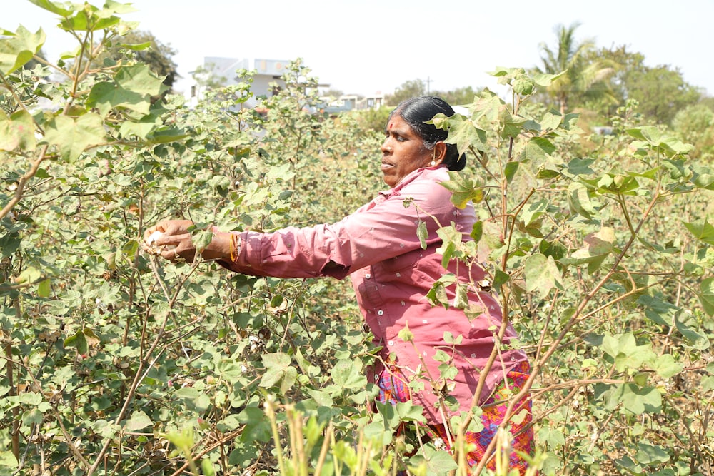 a woman standing in a field of green plants