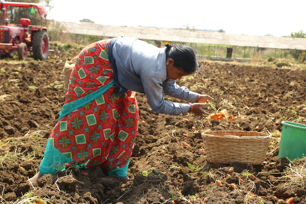 a woman in a field picking carrots from a basket