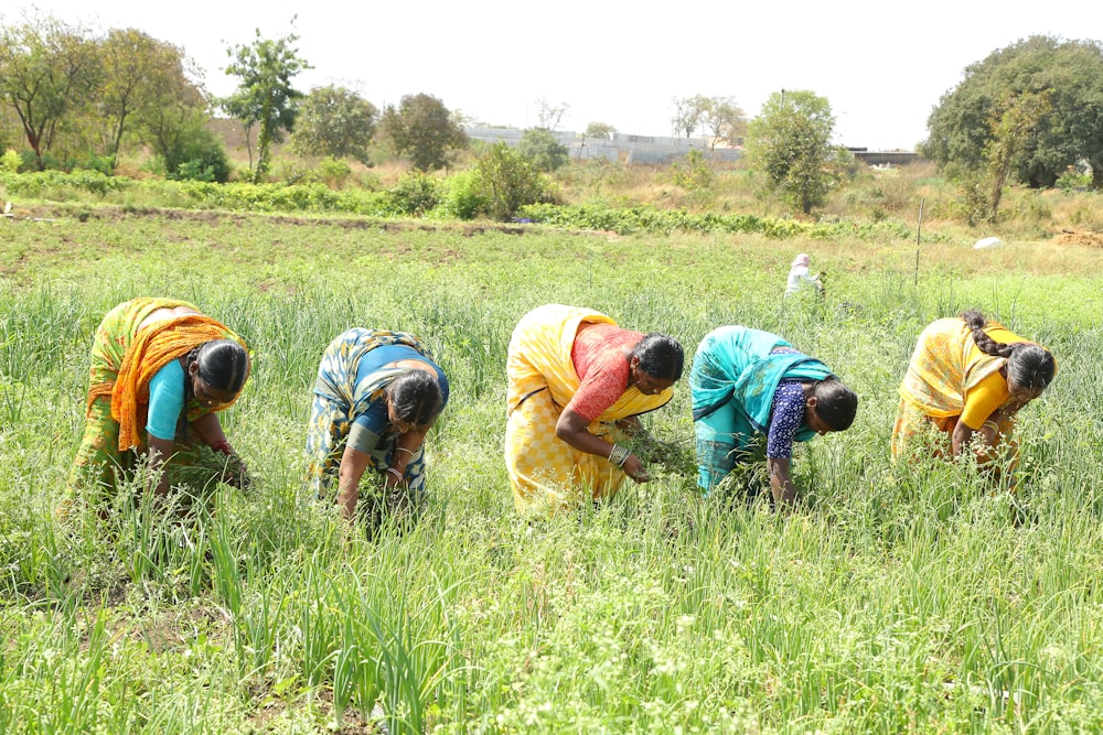 a group of women in a field picking grass
