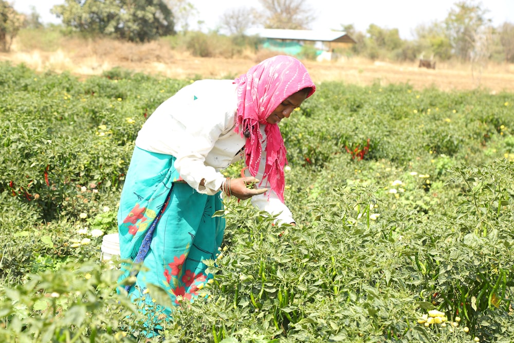 a woman standing in a field of green plants