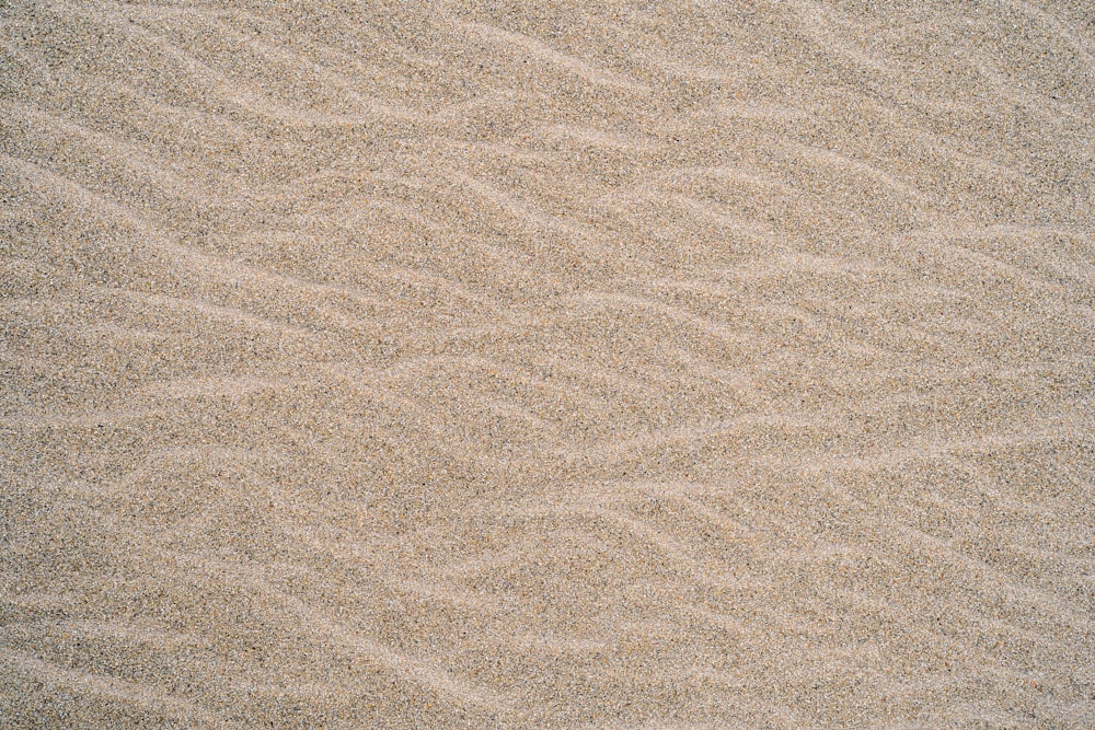 a close up of a sandy beach with a small amount of sand