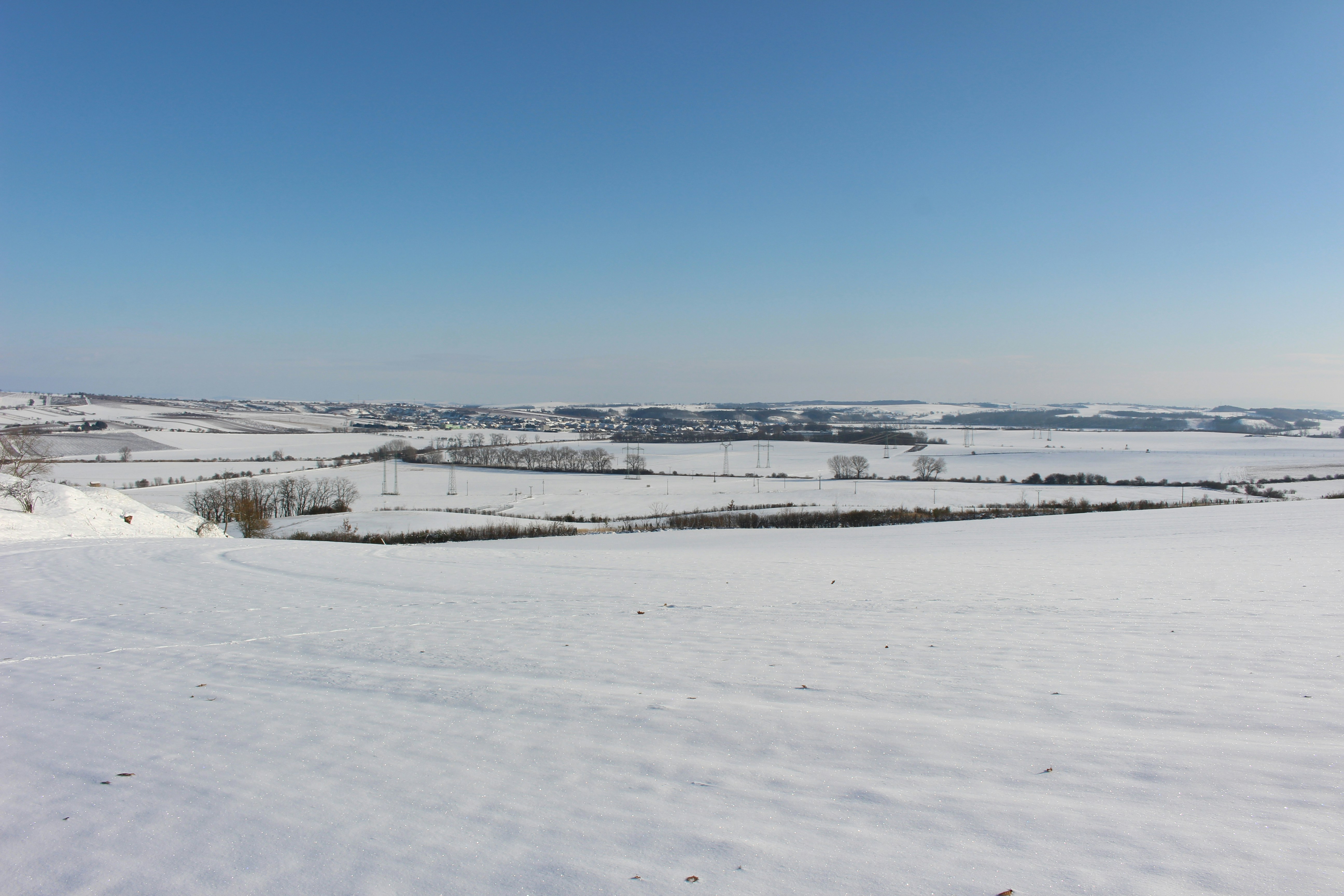 Photo by marjorylucabaxter