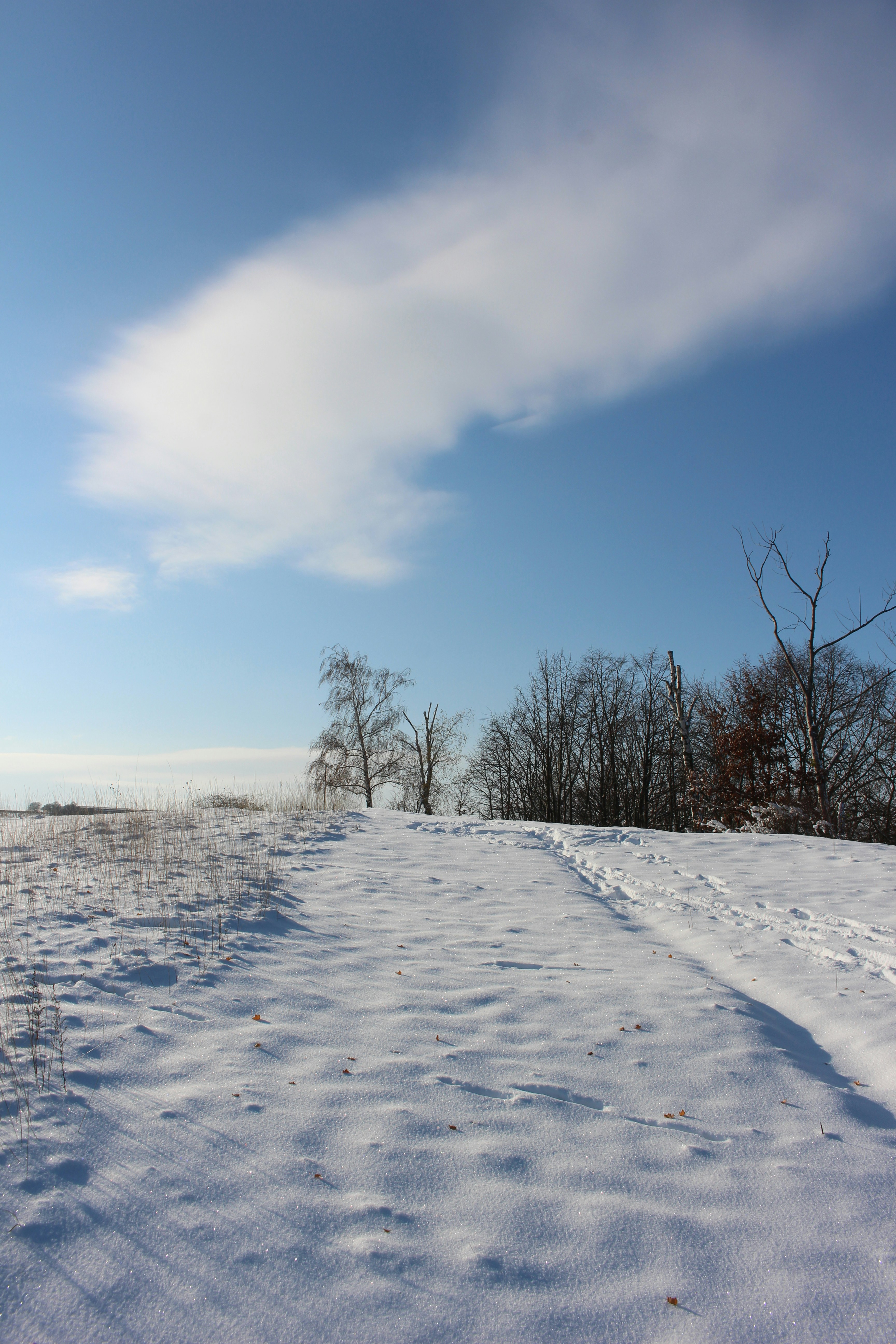 Photo by marjorylucabaxter