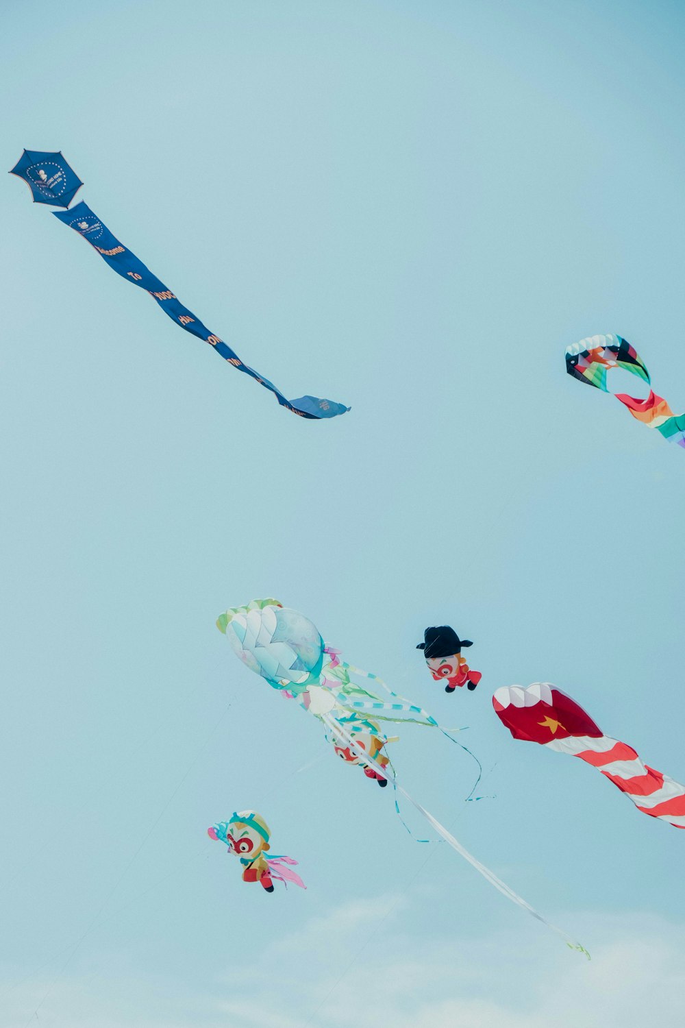 a group of kites flying in the sky
