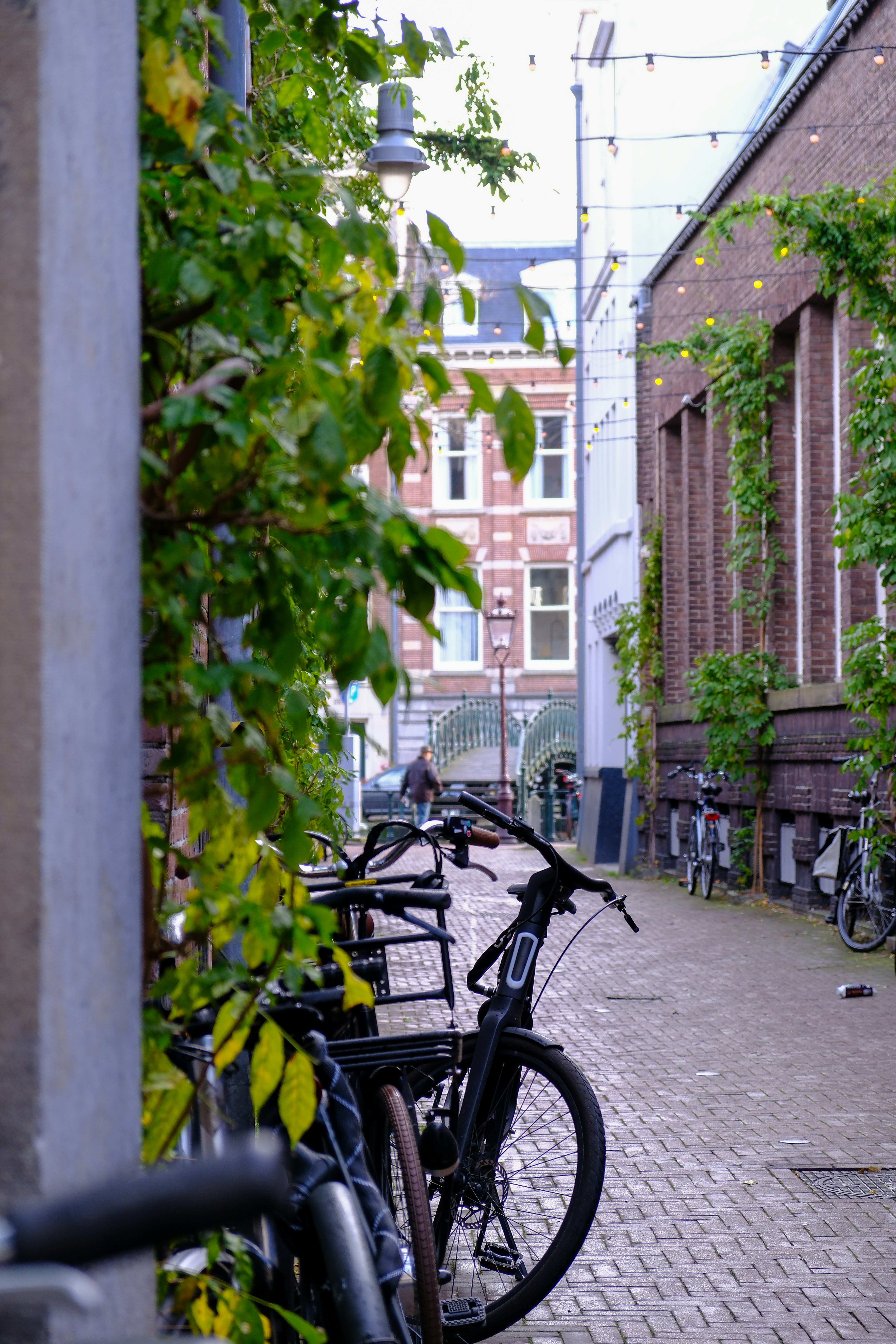 Photo by likesisyphos