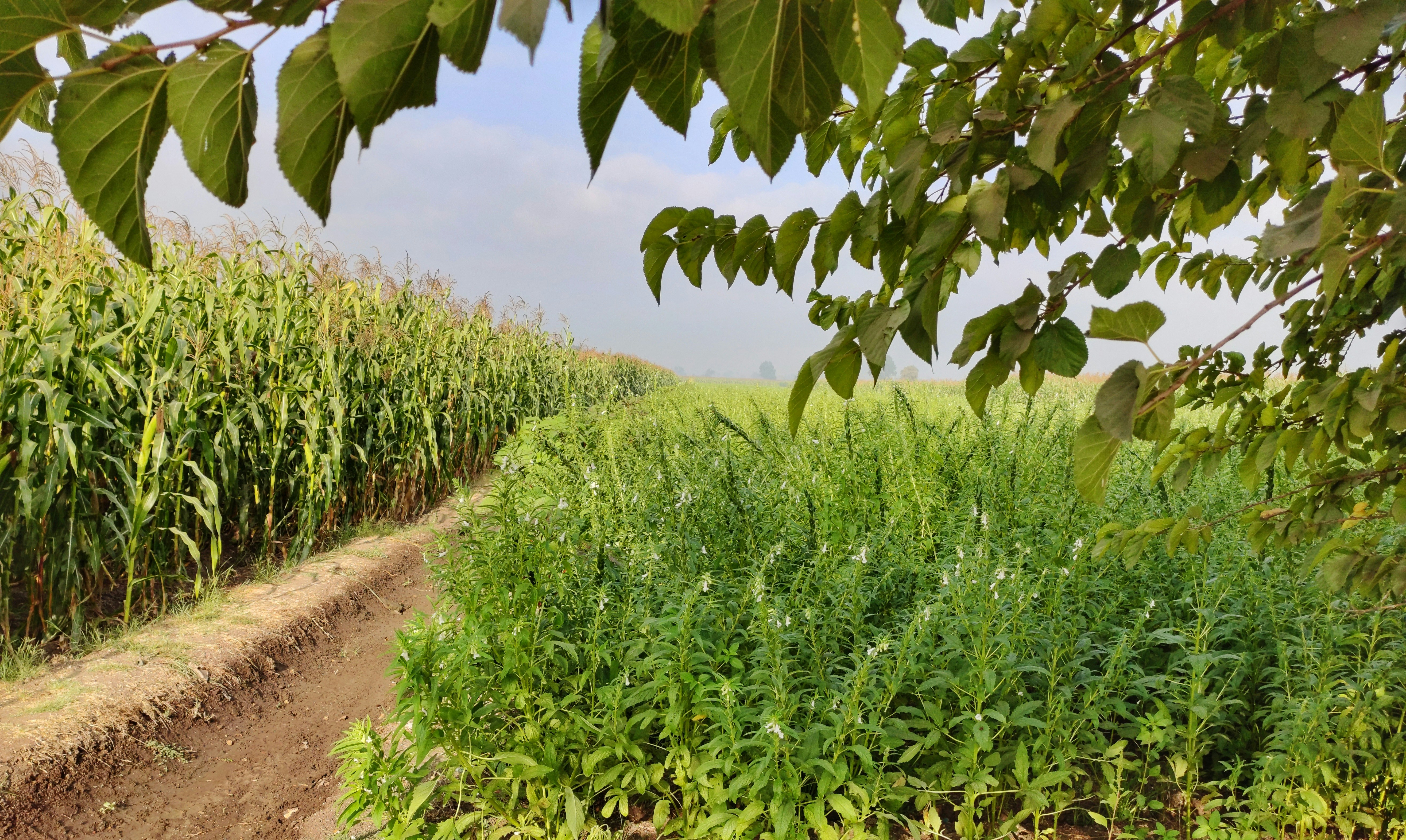 Photo by sameh_from_egypt