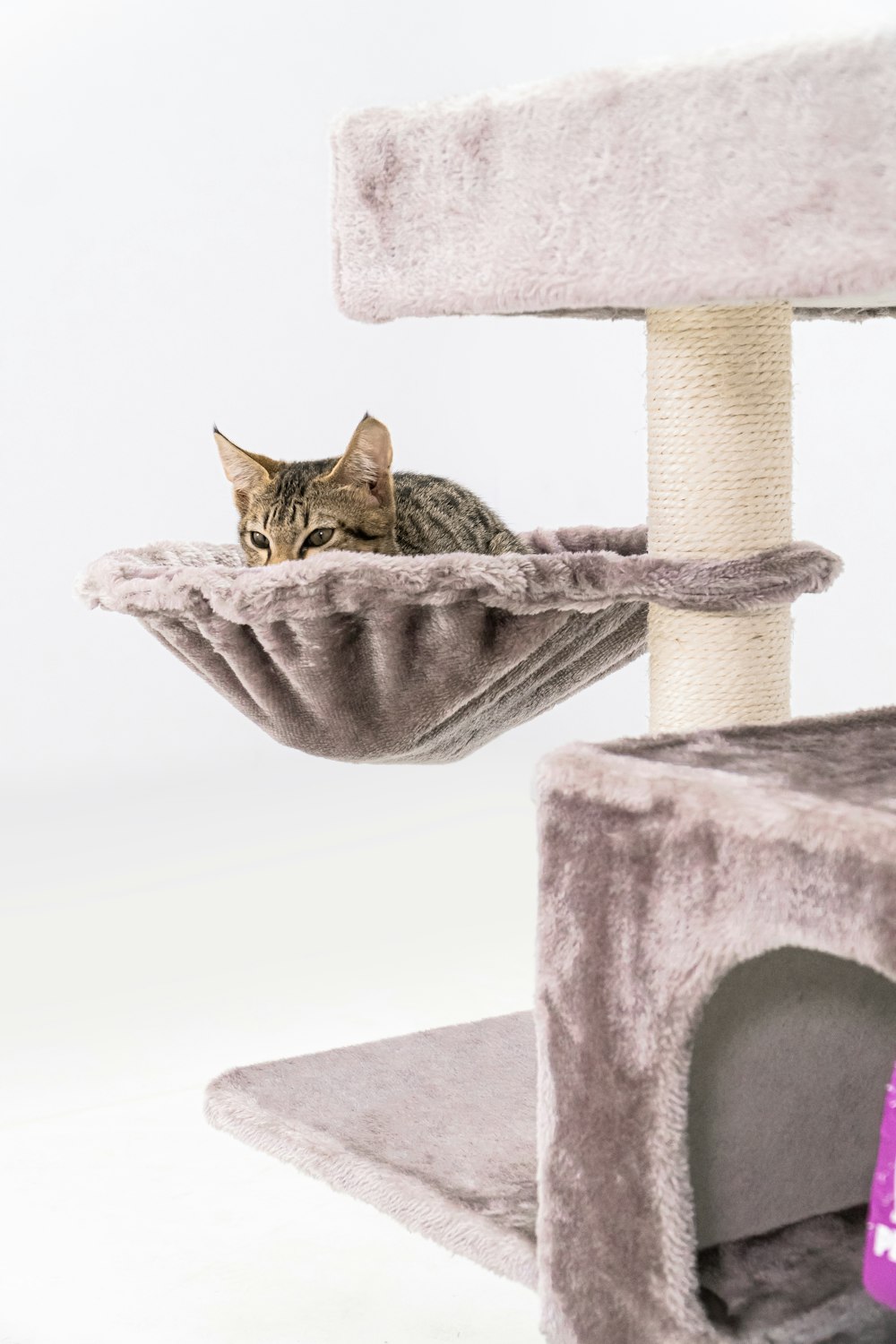 a cat laying on top of a cat tree