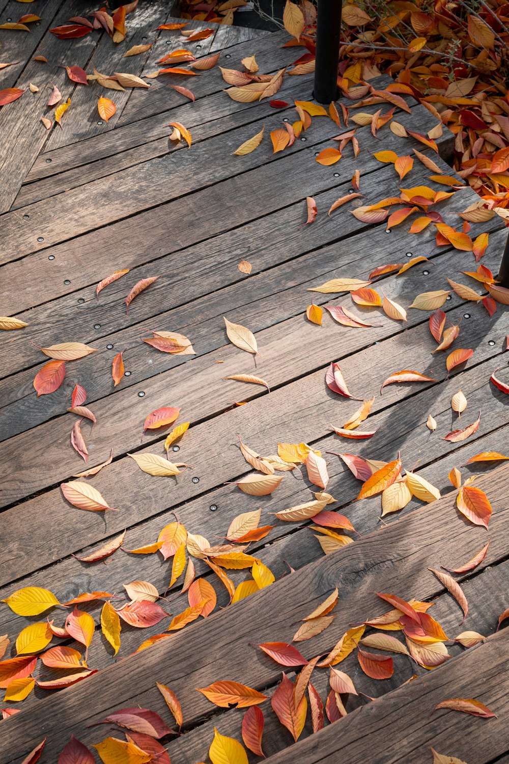 a wooden deck covered in lots of leaves