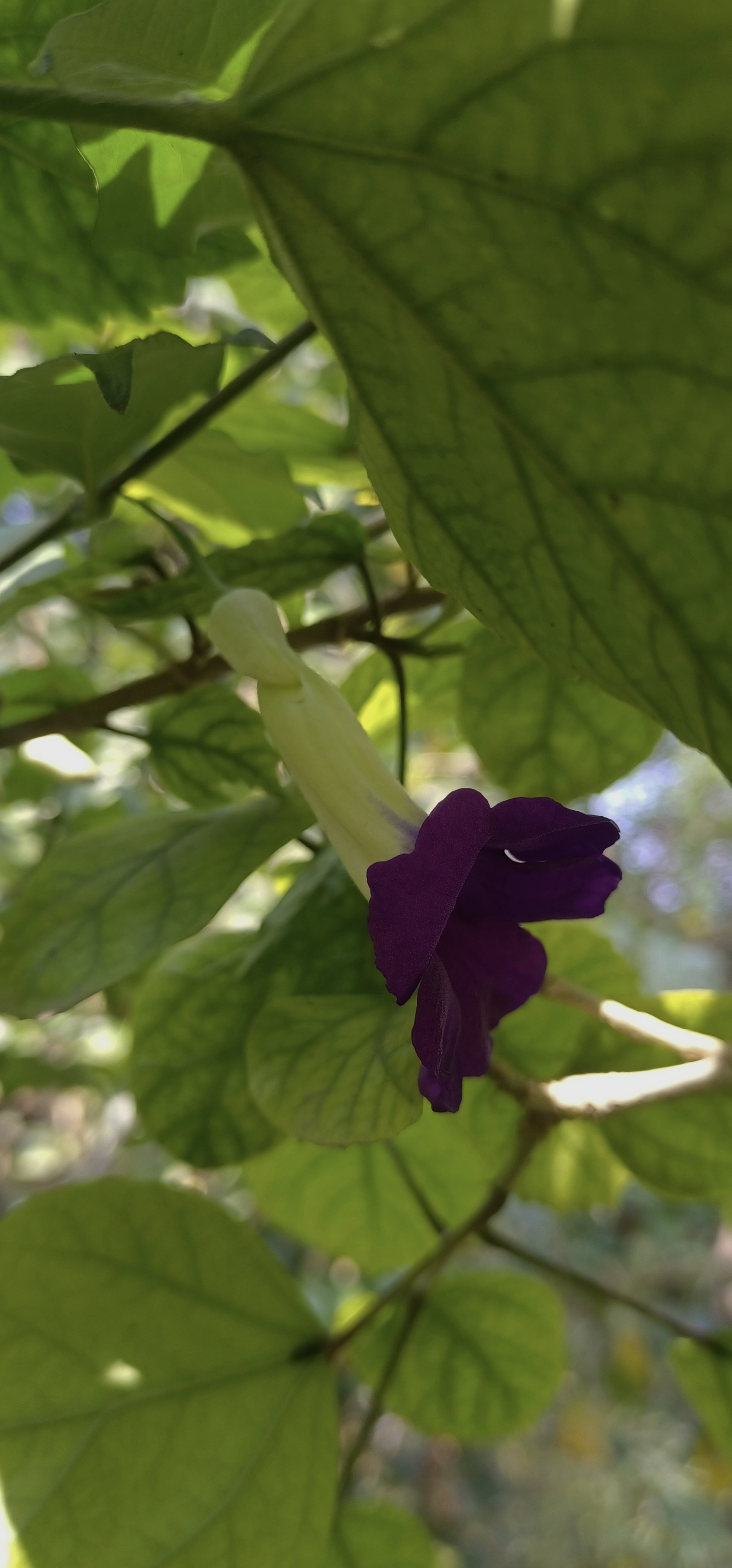 Photo by priyankabrokenheart90