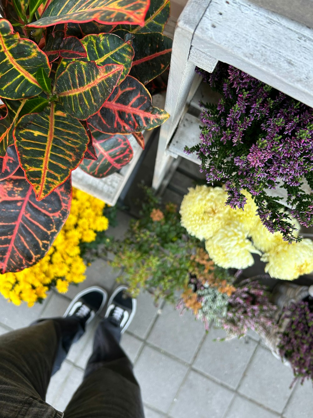 a person standing next to a bunch of flowers