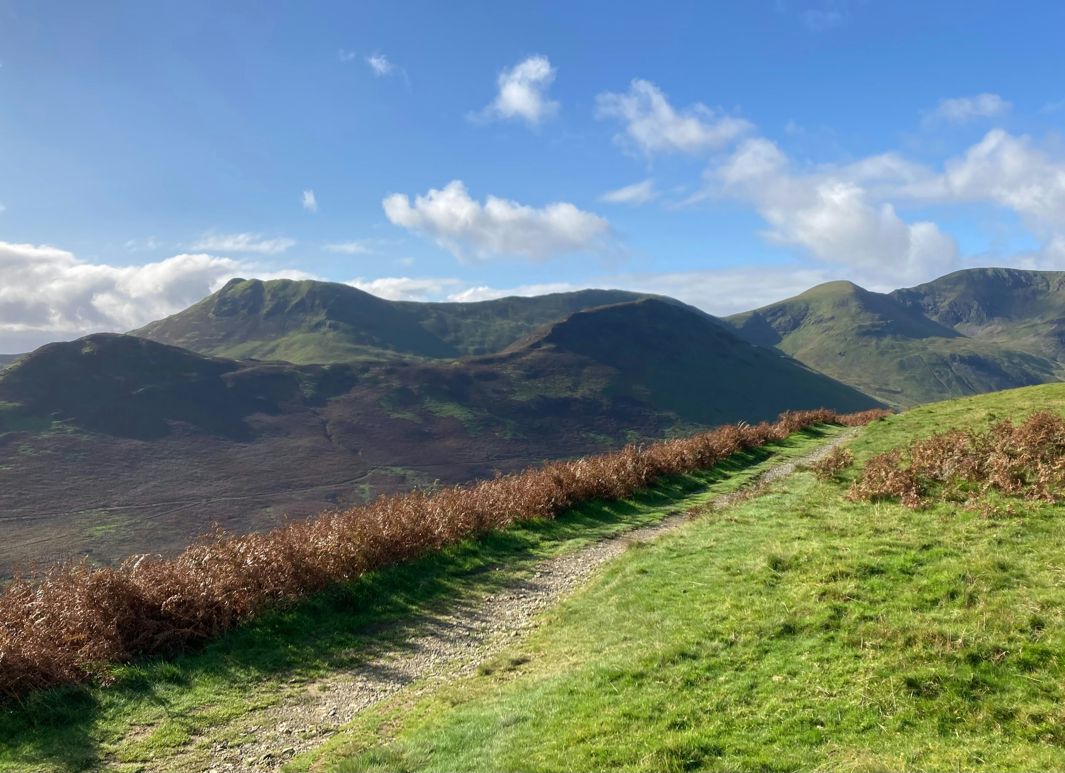 a grassy field with mountains in the background