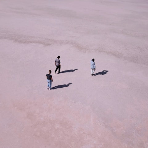 a group of people walking across a sandy field