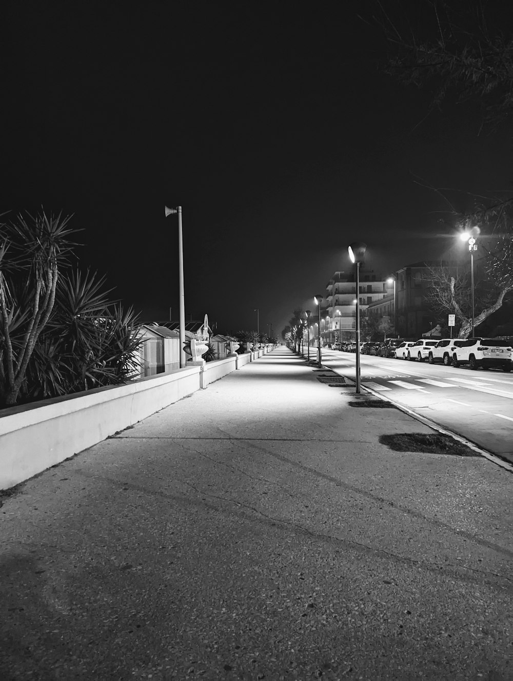 a black and white photo of a street at night