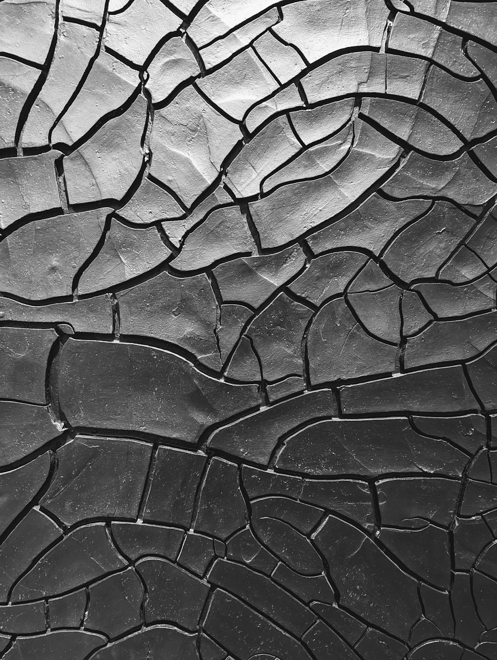 a black and white photo of a cracked surface