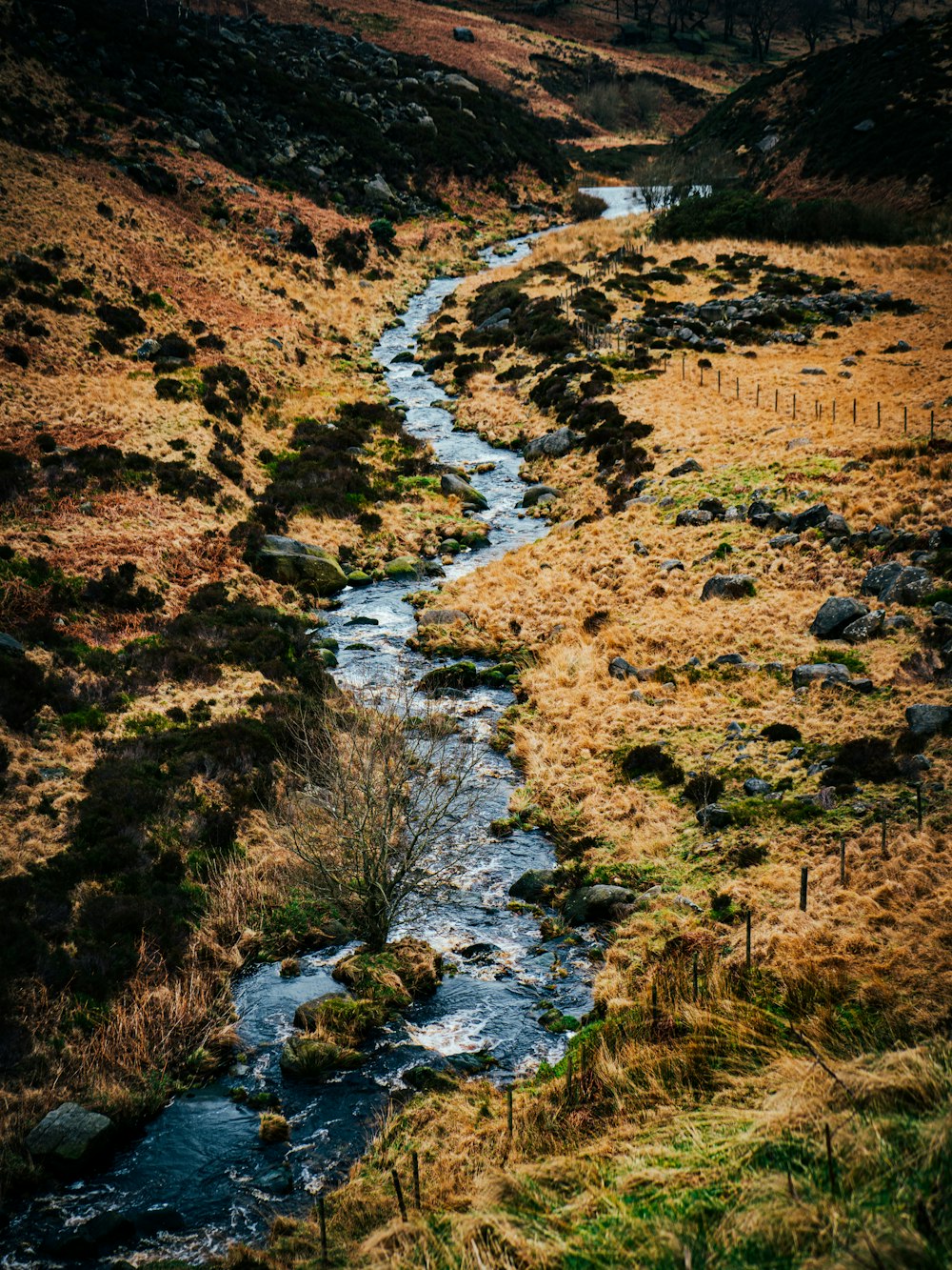 a stream running through a dry grass field