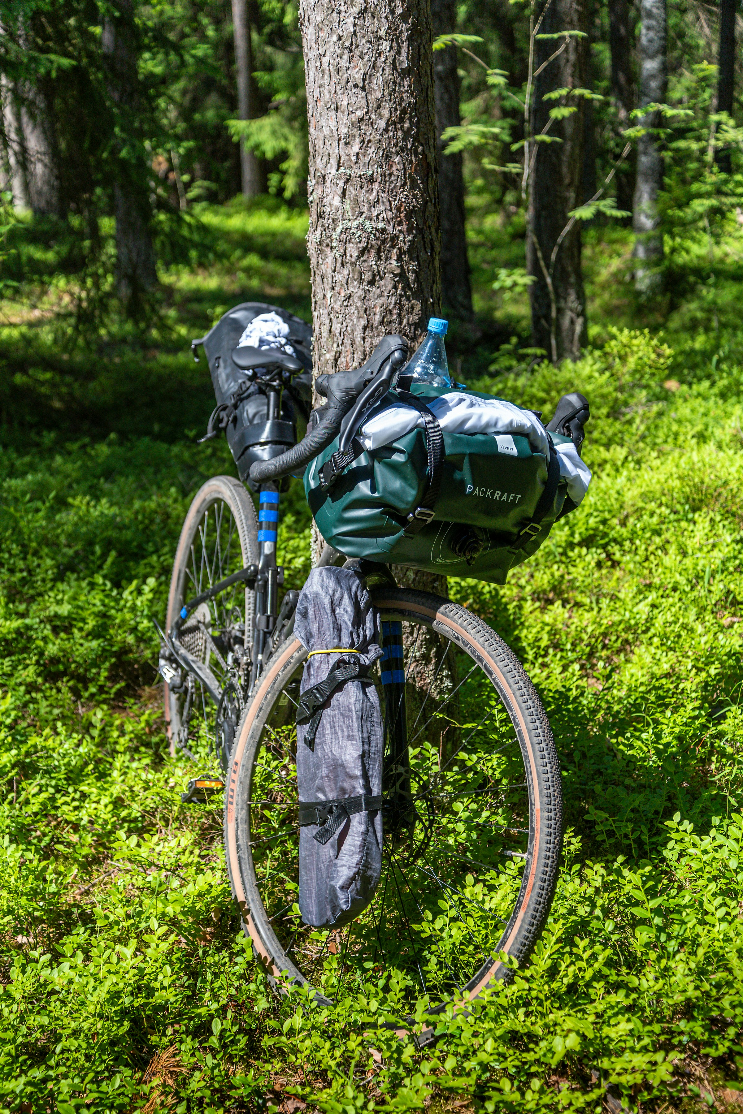 a bicycle parked next to a tree in a forest