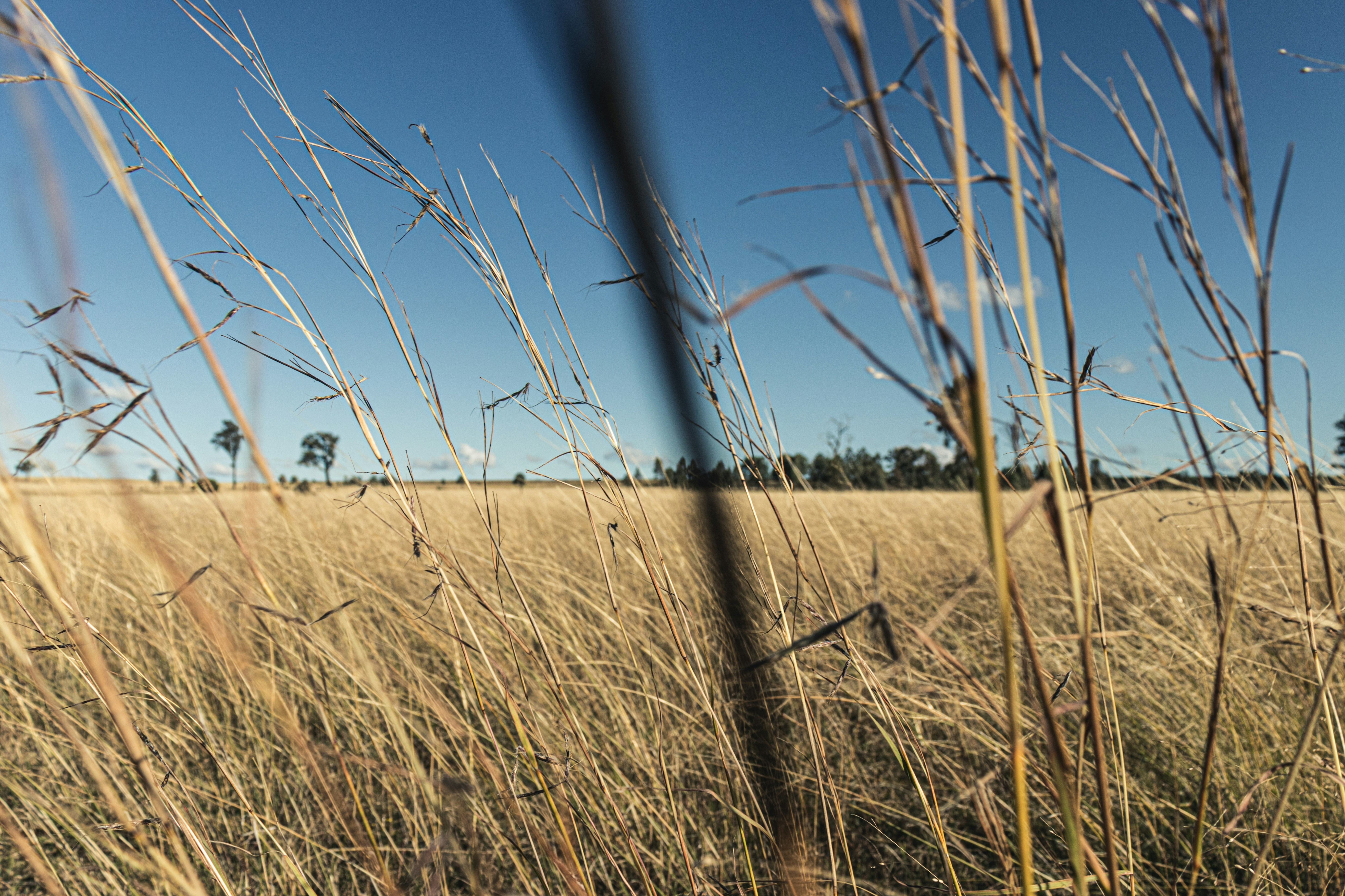 photo-1708427599777-648faea8ce23?ixid=M3