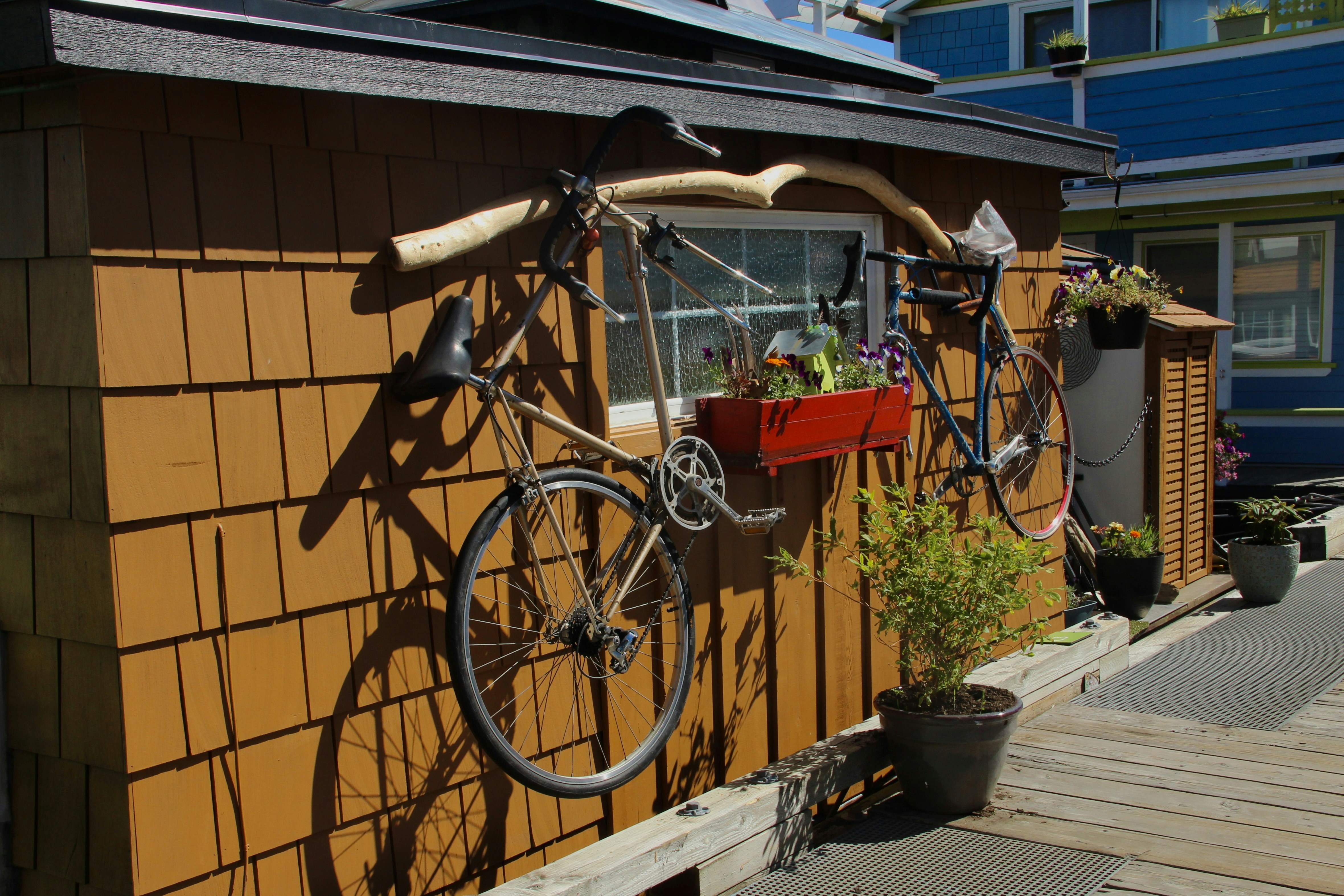 Belknap & Taylor - Bicycle rental