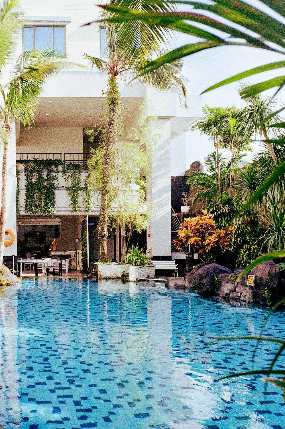 a large swimming pool surrounded by palm trees