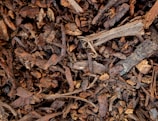 a close up of a pile of wood chips