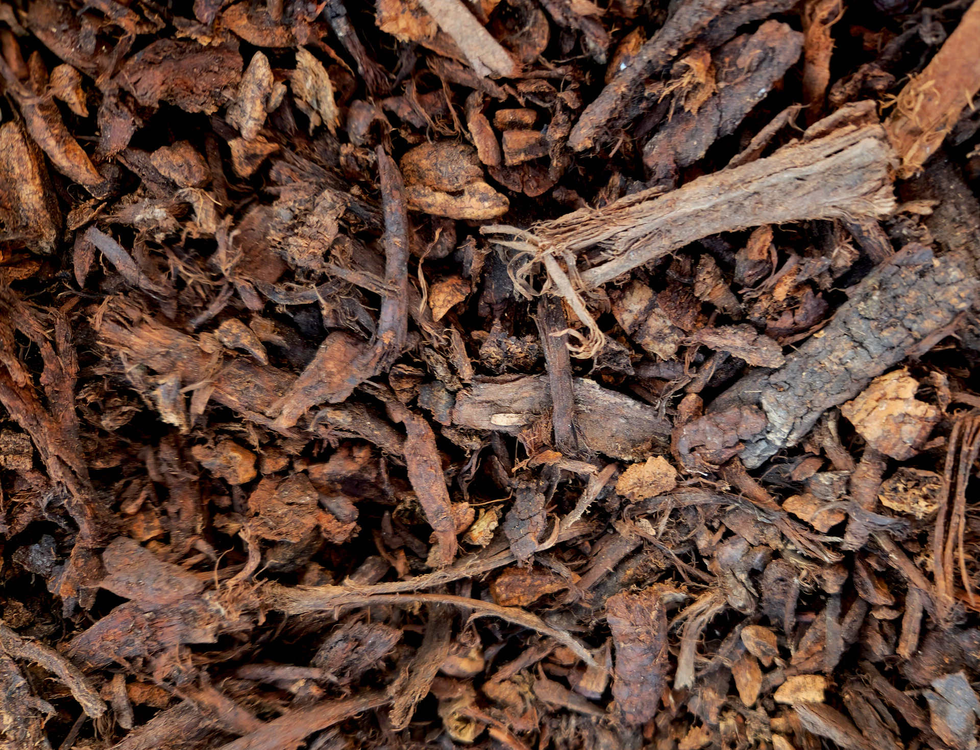 Close texture of shredded hardwood mulch