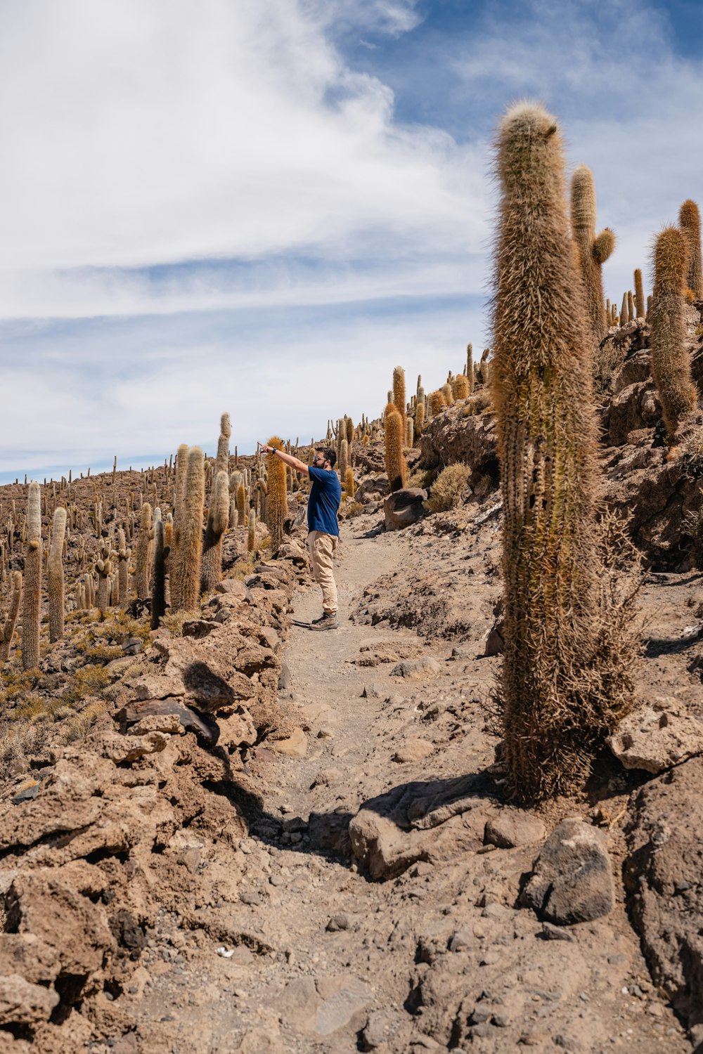 a man walking down a dirt road next to a cactus field