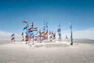 a bunch of flags that are in the sand