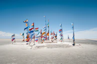a bunch of flags that are in the sand
