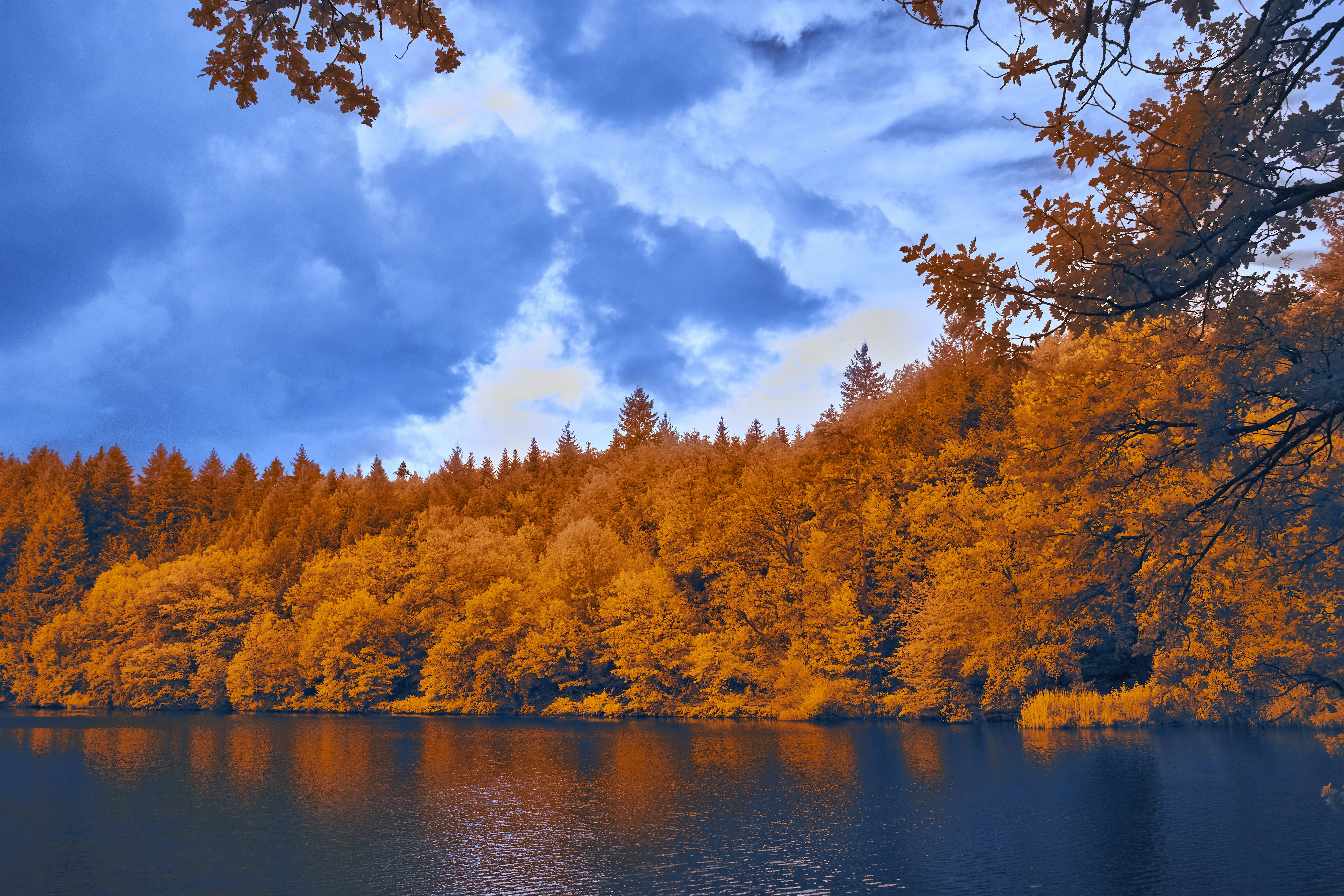 Photo by wolfgang_hasselmann