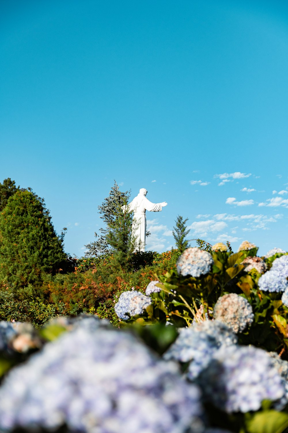 파란색과 흰색 꽃으로 둘러싸인 예수의 동상