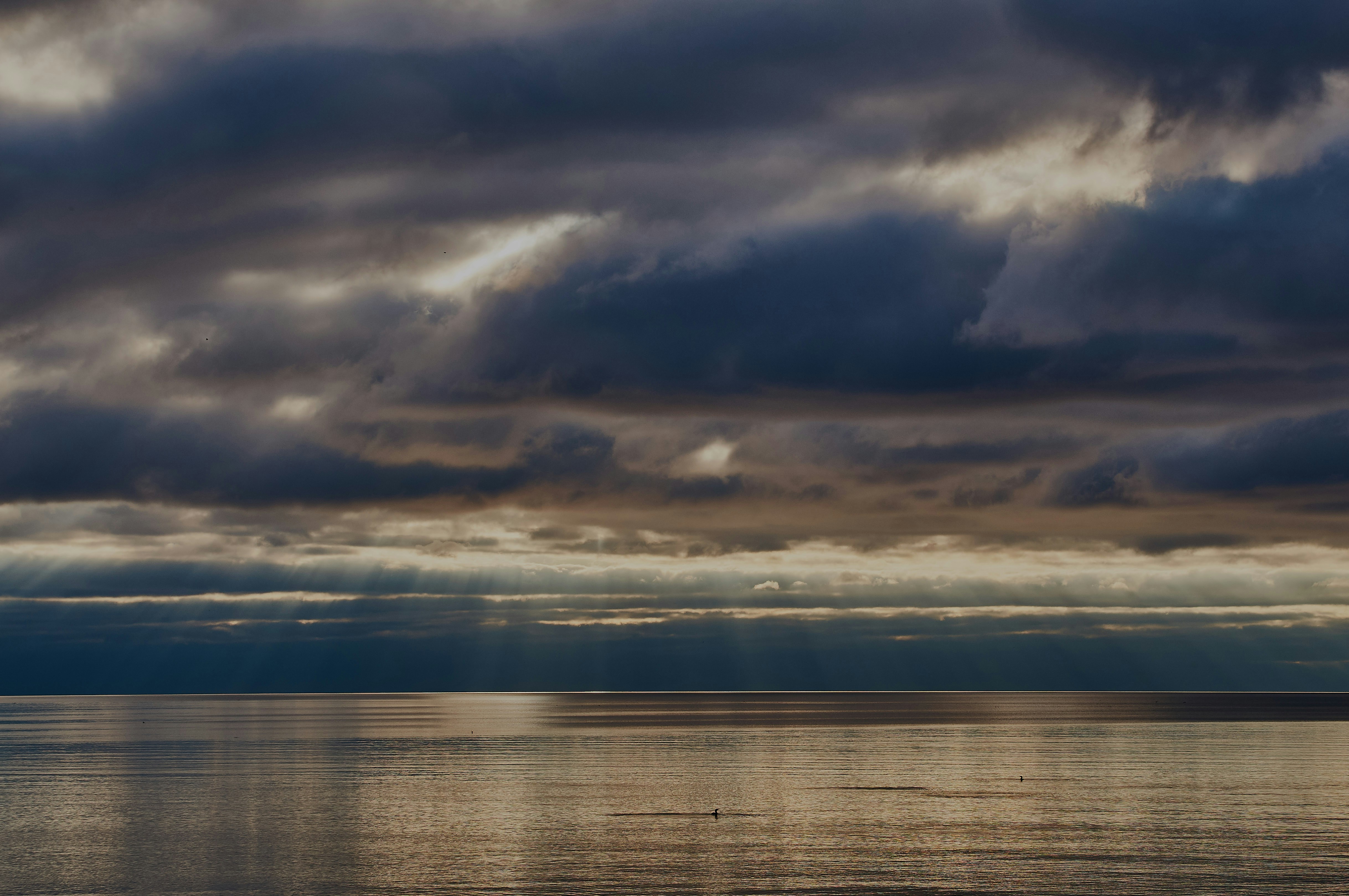 Photo by wolfgang_hasselmann