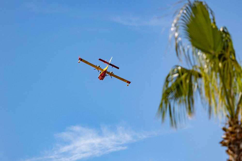 a small plane flying through a blue sky next to a palm tree